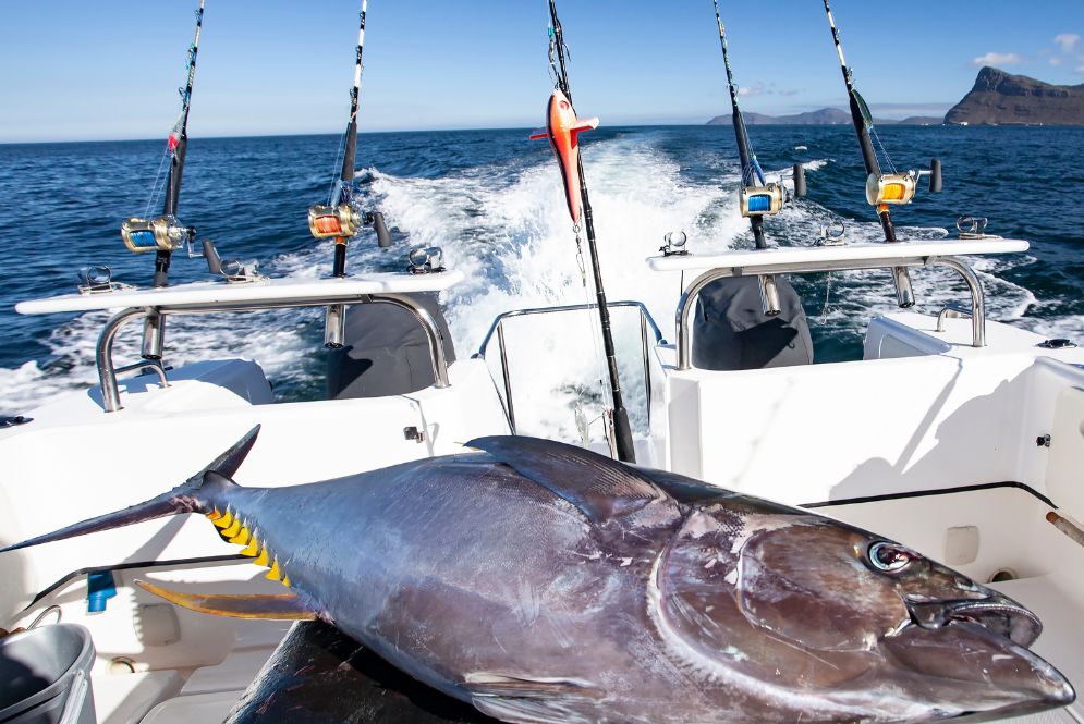 cabo fishing boats - Los Cabos Boat Rentals (1)