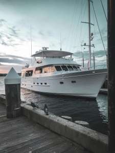 Team Building Yacht Experience in Los Cabos for Unforgettable Corporate Retreats - Los Cabos Boat Rentals