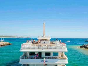 Guests enjoying a luxury whale watching yacht experience in Los Cabos